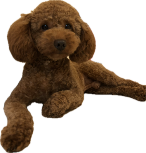 FDBBBD12-F3BB-46D2-A220-68BC07303EBD